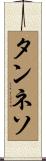 タンネソ Scroll