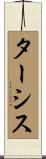 ターシス Scroll