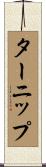 ターニップ Scroll