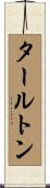 タールトン Scroll