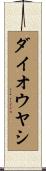 ダイオウヤシ Scroll