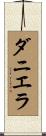 ダニエラ Scroll