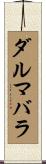 ダルマバラ Scroll