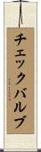 チェックバルブ Scroll