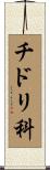 チドリ科 Scroll