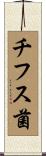 チフス菌 Scroll