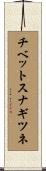チベットスナギツネ Scroll