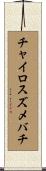 チャイロスズメバチ Scroll