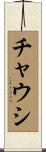 チャウシ Scroll
