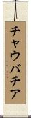 チャウバチア Scroll