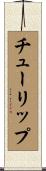 チューリップ Scroll