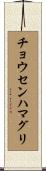 チョウセンハマグリ Scroll