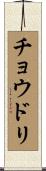 チョウドリ Scroll
