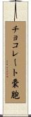 チョコレート嚢胞 Scroll