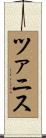 ツァニス Scroll