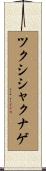 ツクシシャクナゲ Scroll