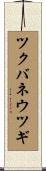 ツクバネウツギ Scroll