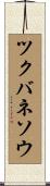 ツクバネソウ Scroll