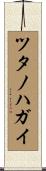 ツタノハガイ Scroll