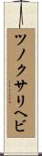 ツノクサリヘビ Scroll