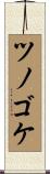 ツノゴケ Scroll
