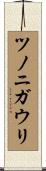 ツノニガウリ Scroll