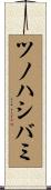 ツノハシバミ Scroll