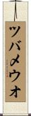 ツバメウオ Scroll