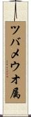 ツバメウオ属 Scroll