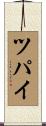 ツパイ Scroll