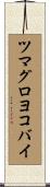 ツマグロヨコバイ Scroll