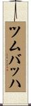 ツムバッハ Scroll