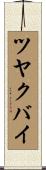 ツヤクバイ Scroll
