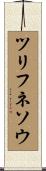 ツリフネソウ Scroll