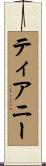Tierney Scroll