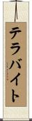 テラバイト Scroll