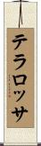テラロッサ Scroll