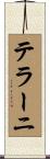 テラーニ Scroll