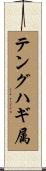 テングハギ属 Scroll