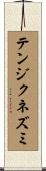 テンジクネズミ Scroll