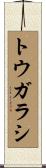 トウガラシ Scroll