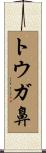 トウガ鼻 Scroll
