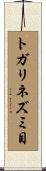 トガリネズミ目 Scroll
