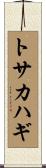 トサカハギ Scroll