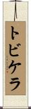 トビケラ Scroll