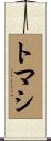 Tomasi Scroll