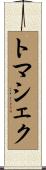 トマシェク Scroll
