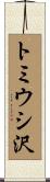 トミウシ沢 Scroll