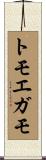 トモエガモ Scroll