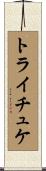 トライチュケ Scroll